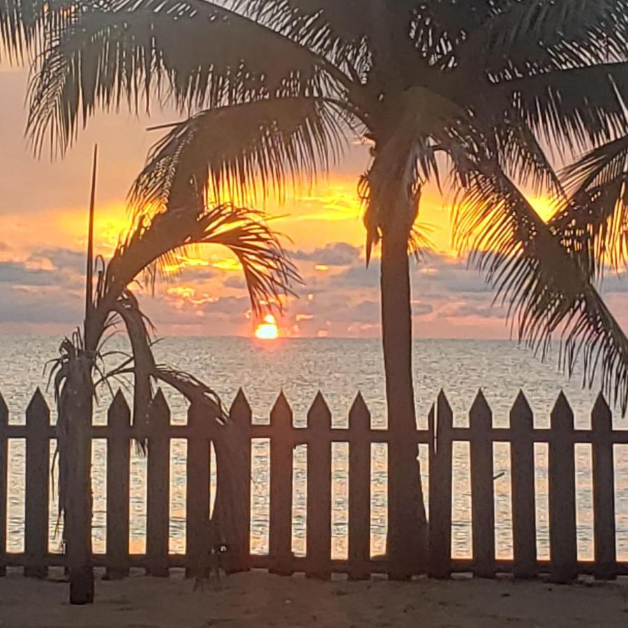 Pal'S On The Beach - Dangriga, Belize Екстериор снимка