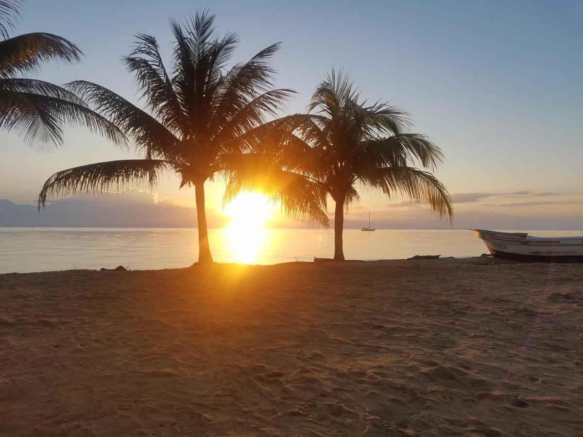Pal'S On The Beach - Dangriga, Belize Екстериор снимка