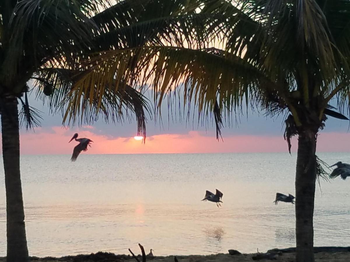 Pal'S On The Beach - Dangriga, Belize Екстериор снимка