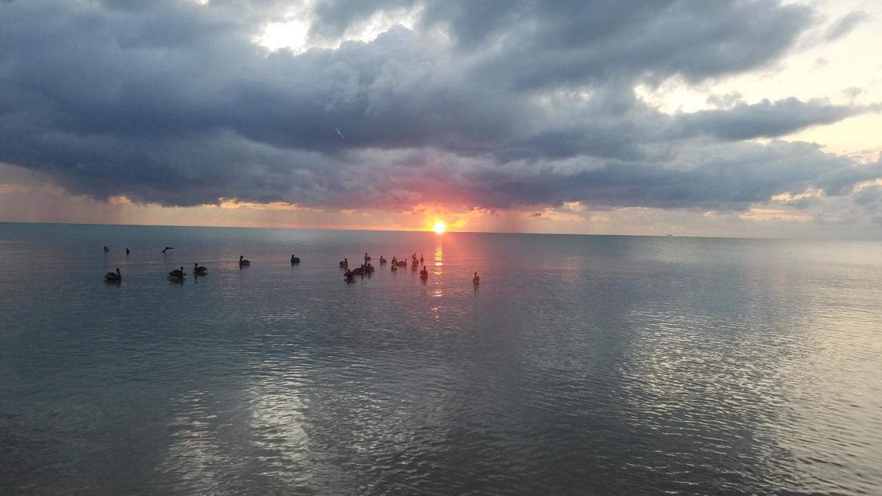 Pal'S On The Beach - Dangriga, Belize Екстериор снимка