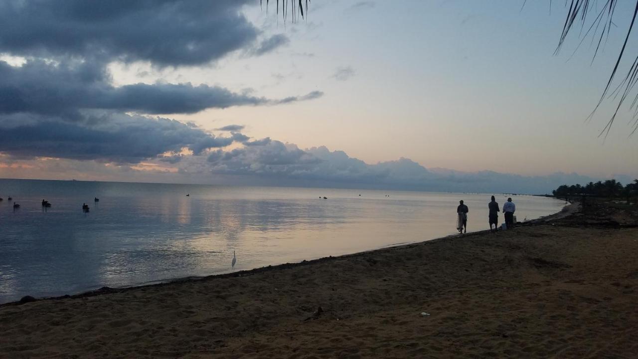 Pal'S On The Beach - Dangriga, Belize Екстериор снимка
